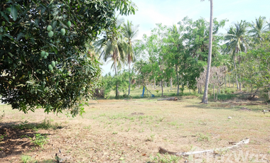 Land for sale in , Prachuap Khiri Khan