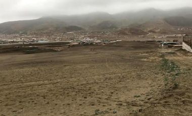 Terrenos Industriales Venta Predio denominado La Patita - CHILCA