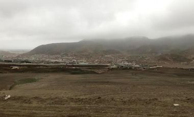Terrenos Industriales Venta Predio denominado La Patita - CHILCA
