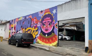 Venta de casa-lote en B. El Centro-Bucaramanga, 1156 m². Cod V9291