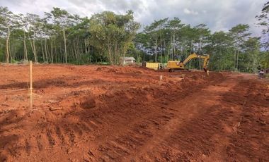 Dekat Tugu Duren Pekalongan, SHM Per Unit, Harga 60 Jt-an