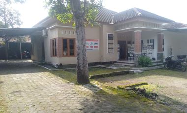 Rumah Murah Minimalis strategis Tanah Luas di Wirobrajan Kodya