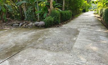 Rumah 1 lantai Dekat Komplek Akmil Desain Bsa Request Custom