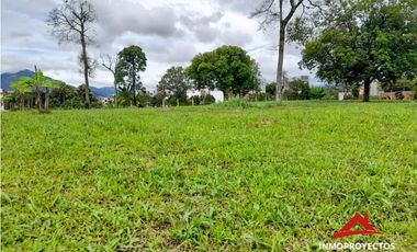 Lotes para casa, sector Nuevo Sol-Codina, Pereira