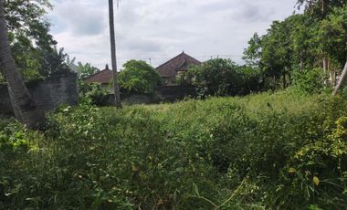 Jual Tanah Luas SHM di kawasan Tiying Tutul Kuta Selatan Siap Bangun