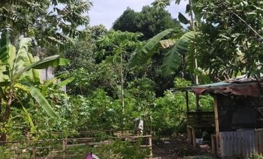 Jual Tanah Luas SHM di kawasan Tiying Tutul Kuta Selatan Siap Bangun