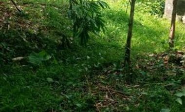 Jual Tanah Luas SHM di kawasan Tiying Tutul Kuta Selatan Siap Bangun