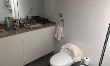 CERRO COGUILES, SECTOR MEDIALUNA LA LAGUNA