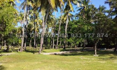 Tanah Cantik Tepi Pantai Sire Lombok Utara