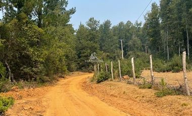 Agrícola en Venta en Nacimiento