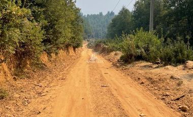 Agrícola en Venta en Nacimiento
