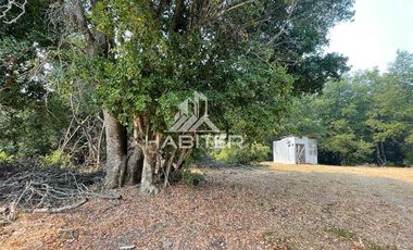 Agrícola en Venta en Nacimiento