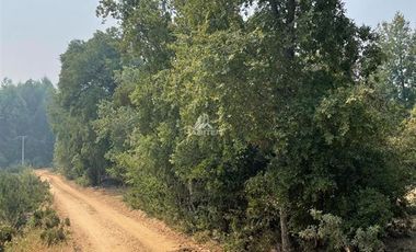 Agrícola en Venta en Nacimiento