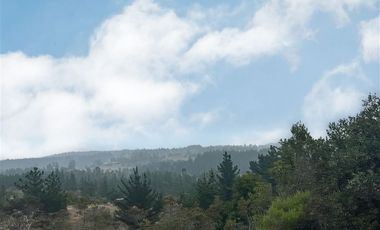 Sitio en Venta en Sitio en VENTA en condominio 