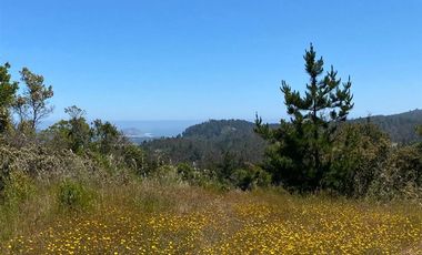 Sitio en Venta en Sitio en VENTA en condominio 