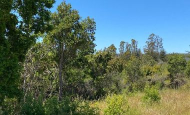 Sitio en Venta en Sitio en VENTA en condominio 