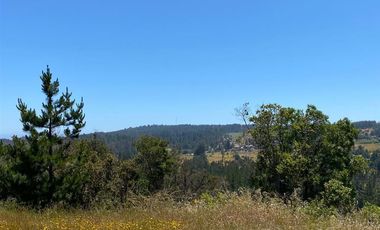 Sitio en Venta en Sitio en VENTA en condominio 