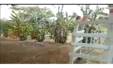 VENTA DE FINCA POR LA VA DE SANTA LUCA, MONTERIA