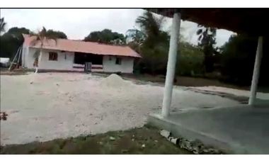 VENTA DE FINCA POR LA VA DE SANTA LUCA, MONTERIA