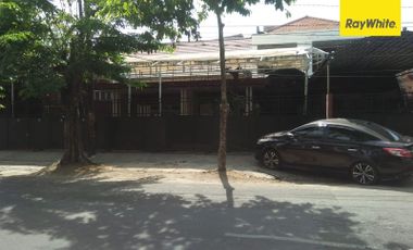 Disewakan Rumah Pusat Kota di Teuku Umar, Tegalsari, Surabaya