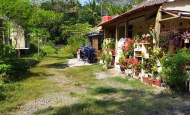 Hunian minimalis modern lokasi matang hanya 190jt