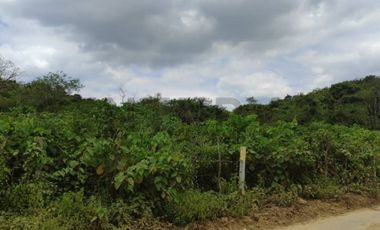 Venta de terreno en Cerecita, Mamey, Santa Elena, ChrC