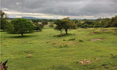 Finca en venta en Beltran  Cundinamarca