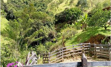 VENTA FINCA DAMASCO, SUROESTE ANTIOQUEÑO
