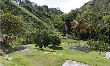 VENTA FINCA DAMASCO, SUROESTE ANTIOQUEÑO