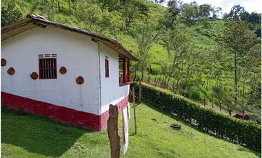 VENTA FINCA DAMASCO, SUROESTE ANTIOQUEÑO