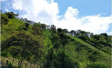 VENTA FINCA DAMASCO, SUROESTE ANTIOQUEÑO