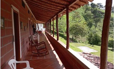 VENTA FINCA DAMASCO, SUROESTE ANTIOQUEÑO