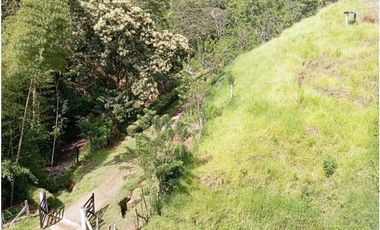 VENTA FINCA DAMASCO, SUROESTE ANTIOQUEÑO