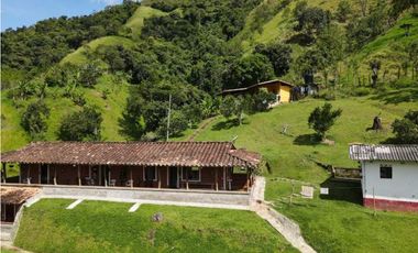 VENTA FINCA DAMASCO, SUROESTE ANTIOQUEÑO