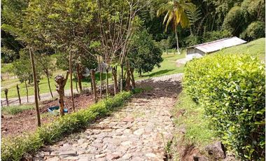 VENTA FINCA DAMASCO, SUROESTE ANTIOQUEÑO