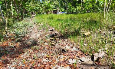Rumah Cantik kulonprogo