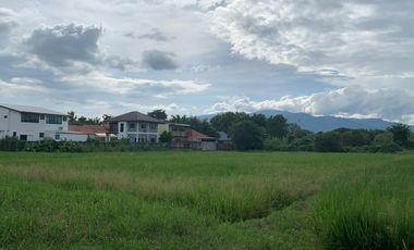 Land for sale in Nong Chom, Chiang Mai