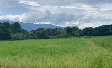 Land for sale in Nong Chom, Chiang Mai