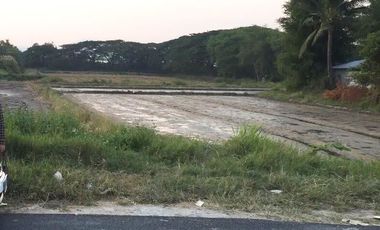 Land for sale in Nong Chom, Chiang Mai