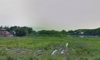 Land for sale in Nong Chom, Chiang Mai
