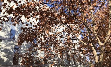 Oficina en Arriendo en Tobalaba - Lota