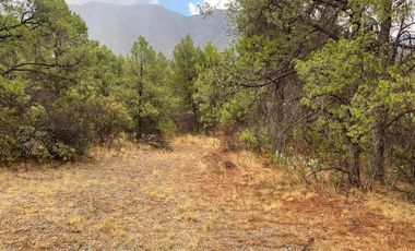 Terreno campestre en la Sierra de Arteaga