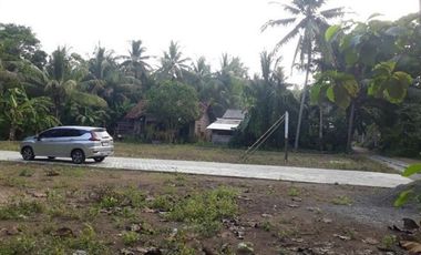 Tanah Dekat Exit Tol Bojong pekalongan, SHM Aman, Include Fasum