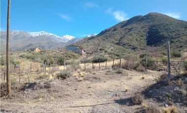 ESPECTACULAR TERRENO EN LOS ZORZALES - POTRERILLOS