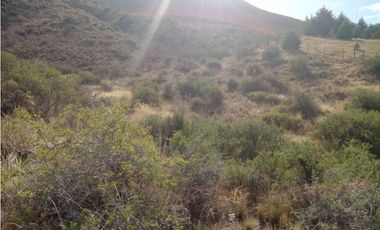ESPECTACULAR TERRENO EN LOS ZORZALES - POTRERILLOS