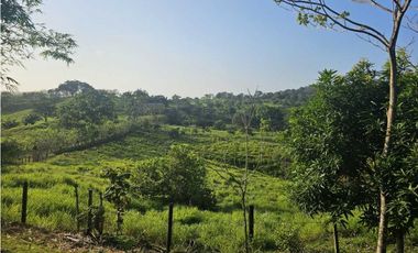 Se Vende Finca de 6.7 HAS con Hermosa Casa Campestre