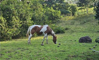 Se Vende Finca de 6.7 HAS con Hermosa Casa Campestre