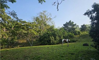 Se Vende Finca de 6.7 HAS con Hermosa Casa Campestre