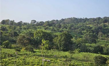 Se Vende Finca de 6.7 HAS con Hermosa Casa Campestre