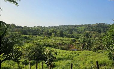 Se Vende Finca de 6.7 HAS con Hermosa Casa Campestre